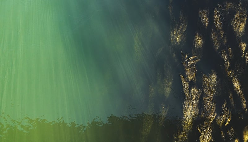 Underwater Elegance